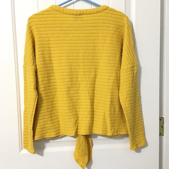 Greylin Button-Down Front Tie Top - Picture 4 of 4